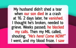 10 Kindness Moments That Restore Faith in Humanity When the World Feels Overwhelming