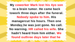 13 Workplace Moments That Highlight Quiet Kindness: Stories Showing Empathy Still Thrives Today