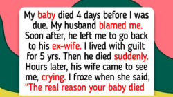 10 Moments Showing Kindness and Compassion Help Create Happiness Everywhere