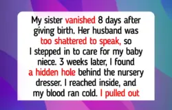 15 Quiet Kindness Moments That Prove Compassion Still Saves Us During Difficult Times